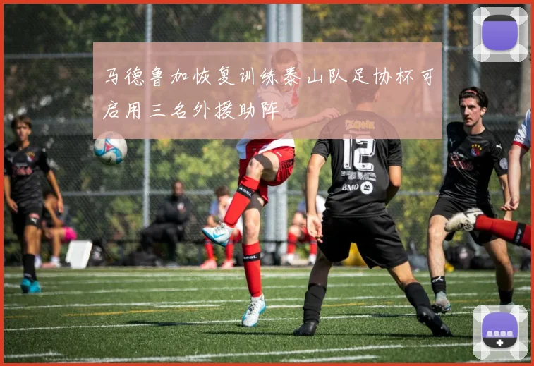马德鲁加恢复训练泰山队足协杯可启用三名外援助阵