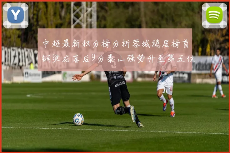 中超最新积分榜分析蓉城稳居榜首铜梁龙落后9分泰山强势升至第五位津门虎积分清零