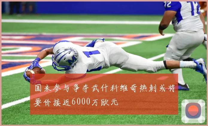 国米参与争夺武什科维奇热刺或将要价接近6000万欧元